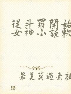从斗罗开始俘获女神小说软件