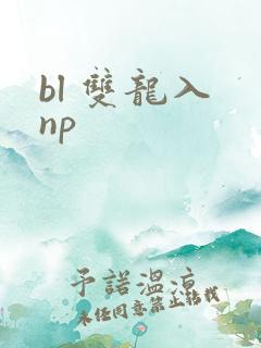 bl 双龙入 np