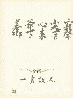 姜爷心尖宠她从乡下来有声书