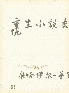 重生小说爽文复仇