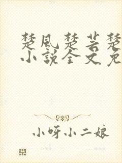楚风楚芸楚鸿飞小说全文免费阅读