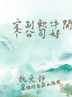 定制软件开发哪个公司好