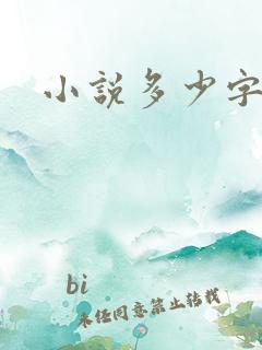 小说多少字出版