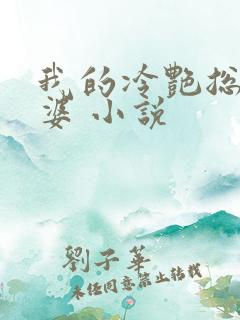 我的冷艳总裁老婆 小说