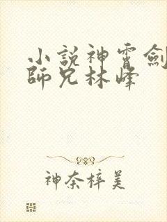 小说神霄剑宗大师兄林峰