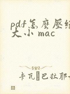 pdf怎么压缩大小 mac