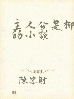 主人公是柳无邪的小说