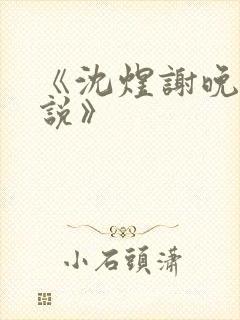 《沈煜谢晚烟小说》