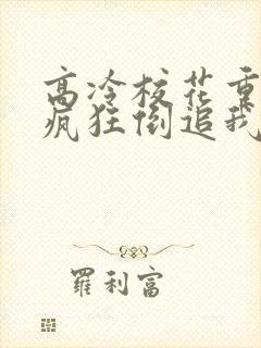 高冷校花重生了疯狂倒追我txt下载