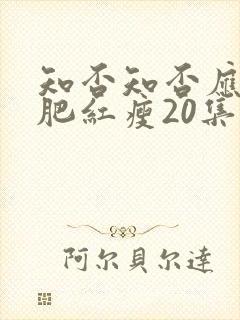 知否知否应是绿肥红瘦20集
