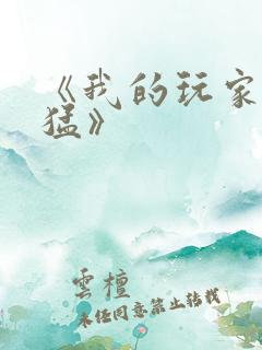 《我的玩家好凶猛》