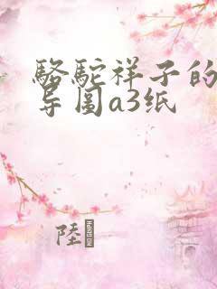 骆驼祥子的思维导图a3纸
