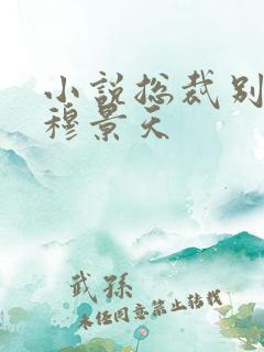 小说总裁别太坏穆景天