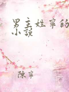 男主姓宁的穿越小说