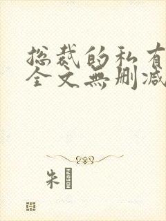 总裁的私有宝贝全文无删减免费阅读
