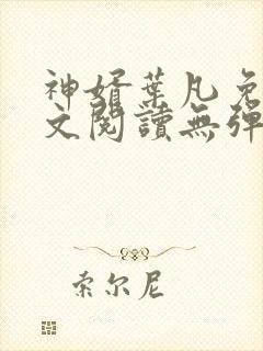 神婿叶凡免费全文阅读无弹窗
