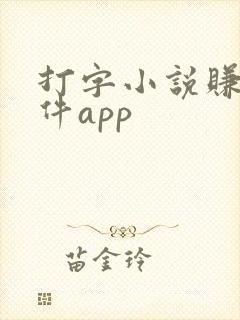 打字小说赚钱软件app