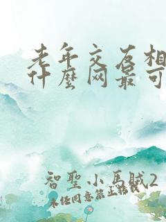 老年交友相亲网什么网最可靠