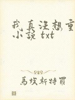 我真没想重生啊小说 txt