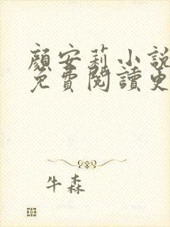 颜安莉小说全文免费阅读更新时间