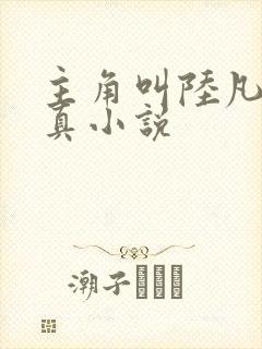 主角叫陆凡的修真小说