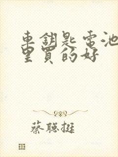 车钥匙电池在哪里买的好