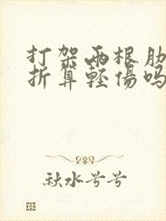 打架两根肋骨骨折算轻伤吗