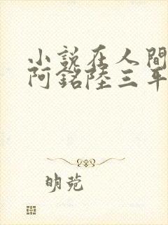 小说在人间采薇阿铭陆三平免费阅读