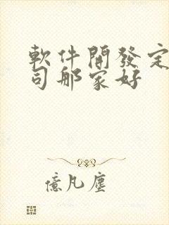 软件开发定制公司那家好