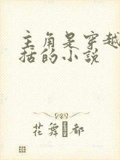 主角是穿越成赵括的小说