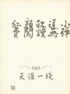 红颜政道小说免费阅读无弹窗