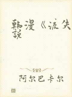 韩漫《流失》小说
