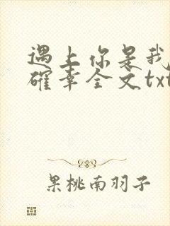 遇上你是我的小确幸全文txt下载