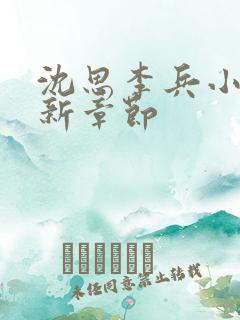沈思李兵小说最新章节