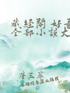 藏经阁 好看的全部小说大全