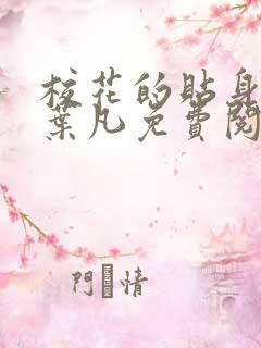校花的贴身保镖叶凡免费阅读全文