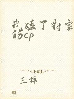 我磕了对家ⅹ我的cp