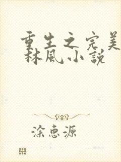 重生之完美时代 林风小说