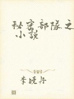 秘密部队之龙焱 小说