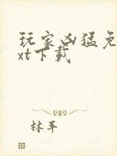 玩家凶猛免费txt下载