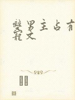 双男主占有欲甜宠文