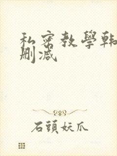 私密教学韩漫无删减