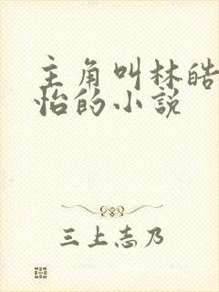 主角叫林皓李静怡的小说