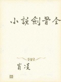 小说剑骨全文