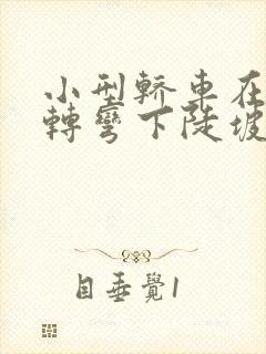 小型轿车在掉头转弯下陡坡时最高时速