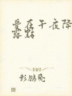爱在午夜降临前露点