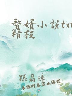 赘婿小说txt精校