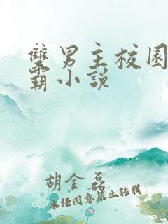 双男主校园双学霸小说