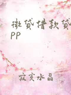 微贷借款贷款app