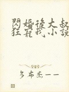 闪婚后大叔每天狂宠我小说完整版
